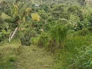 Kavling view mountain kintamani dan sungai