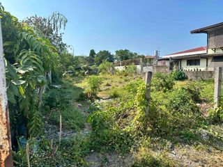 Residential Lot for Sale in Naic, Cavie