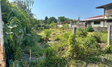 Residential Lot for Sale in Naic, Cavie