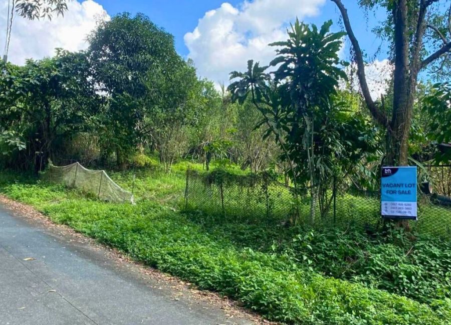 Timberland Avenue, Timberland Heights, San Mateo, Rizal image 2