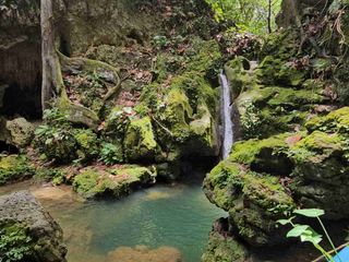 Fruit Land 1p hectares aith watersource
