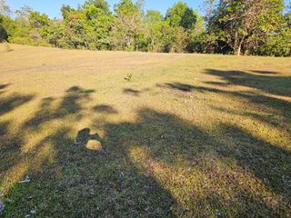 10,028 SQM Clean-Titled Lot for Sale — M. Roxas, Trinidad, Bohol