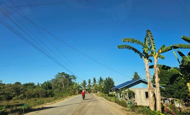 10,028 SQM Clean-Titled Lot for Sale — M. Roxas, Trinidad, Bohol