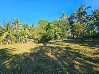 🏝️ 2,238 SQM Clean-Titled Lot for Sale — Candabong, Anda, Bohol