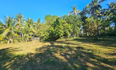 🏝️ 2,238 SQM Clean-Titled Lot for Sale — Candabong, Anda, Bohol