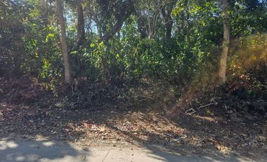 4,090 SQM Overlooking Lot for Sale — Near Beaches Highway & Cabantian Hills, Guindulman, Bohol