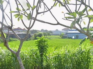 ID:H-128 Dijual Tanah 10,25 Are Kesiman Kertalangu Denpasar Timur Bali Dekat Gatsu Sanur Gianyar