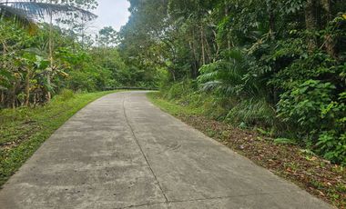 3.7 Hectares Rolling Land full of assorted trees for Sale – Sagbayan, Bohol