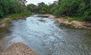 4.9 Hectares Clean Title Riverfront Land for Sale – Dagohoy, Bohol