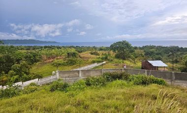 Overlooking lot seaview for sale in Cabantian Hills Guindulman Bohol 300/sqm negotiable