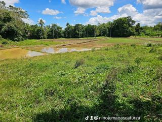 63,300 SQM Clean Title Farm Lot with Irrigated Ricefield & River – Corazon, San Miguel, Bohol