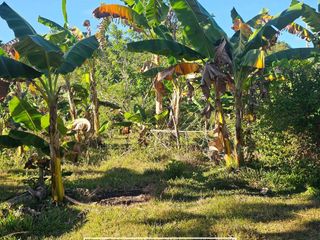 2,481 SQM Clean Title Lot Near Highway & White Sand Beaches – Anda, Bohol