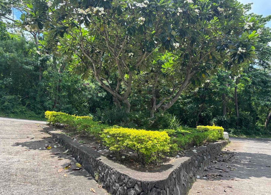 Panuca, Malapad na Bato, Nasugbu, Batangas image 3