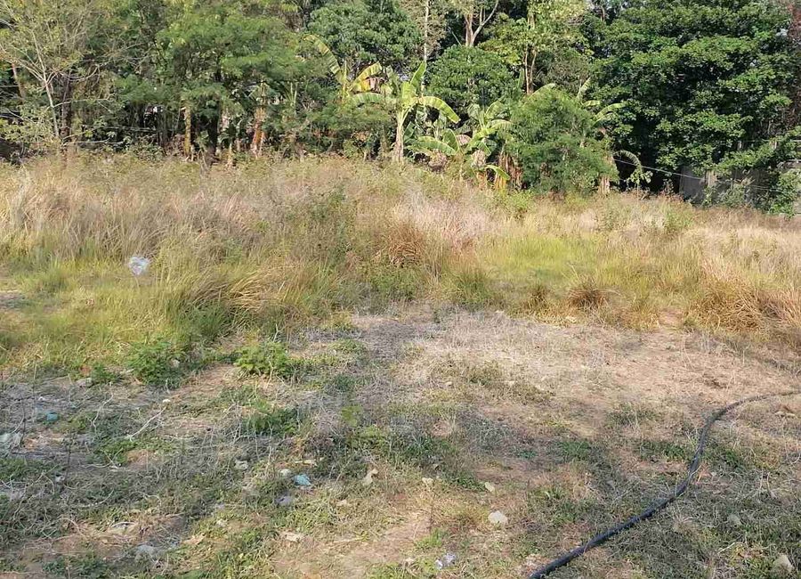 Prime 4,211 sqm Titled Lot for Sale in Subusub, Rosario, La Union Near ...