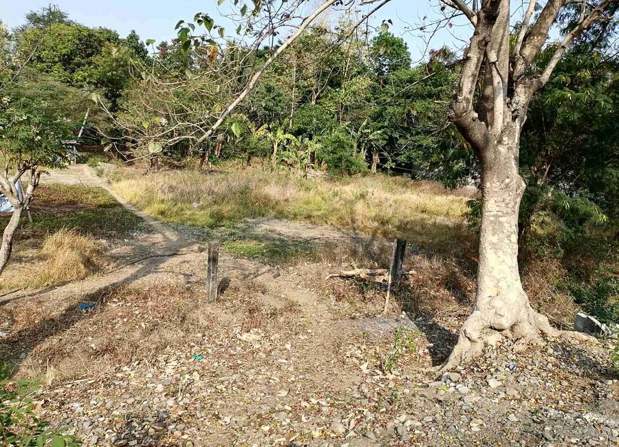 Prime 4,211 sqm Titled Lot for Sale in Subusub, Rosario, La Union Near ...