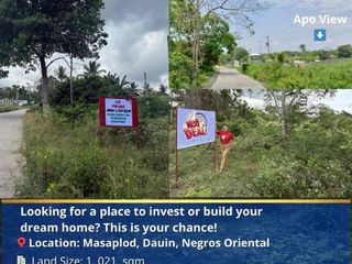 Along the Road Land for sale in Dauin