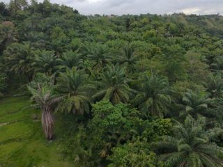 74,997 SQM Titled Land for Sale – Expandable up to 11+ Hectares