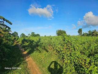 14,840 SQM Clean Title Riverfront Lot for Sale in Ubay, Bohol