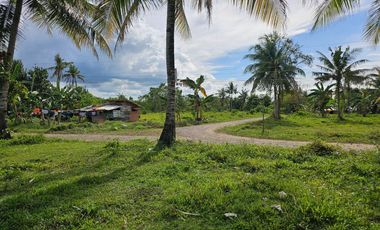 2,500 SQM Clean Title Lot for Sale in Trinidad, Bohol