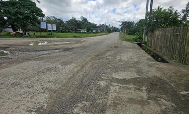 35,000 SQM Affordable Farm Lot for Sale – Montesuerte, Carmen, Bohol