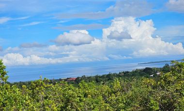 300 SQM Clean Title Residential Lot with Ocean View – Loon, Bohol