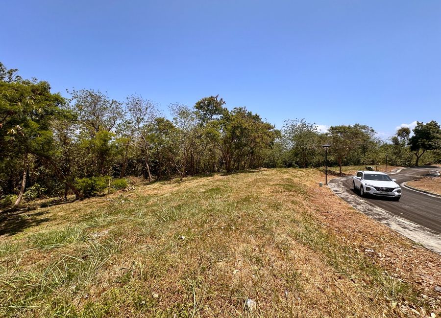 Spine Road, Ayala Greenfield Estates, Maunong, Calamba, Laguna image 2