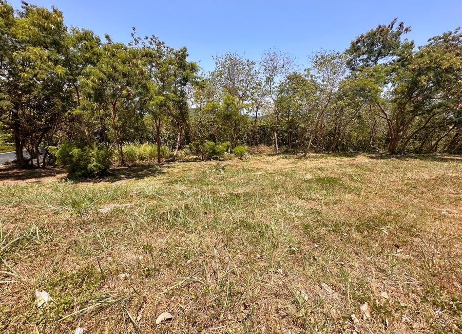 Spine Road, Ayala Greenfield Estates, Maunong, Calamba, Laguna image 3