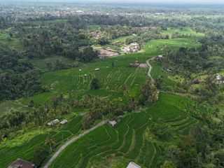 LAND FOR SALE – FULL VIEW IN PENEBEL, TABANAN