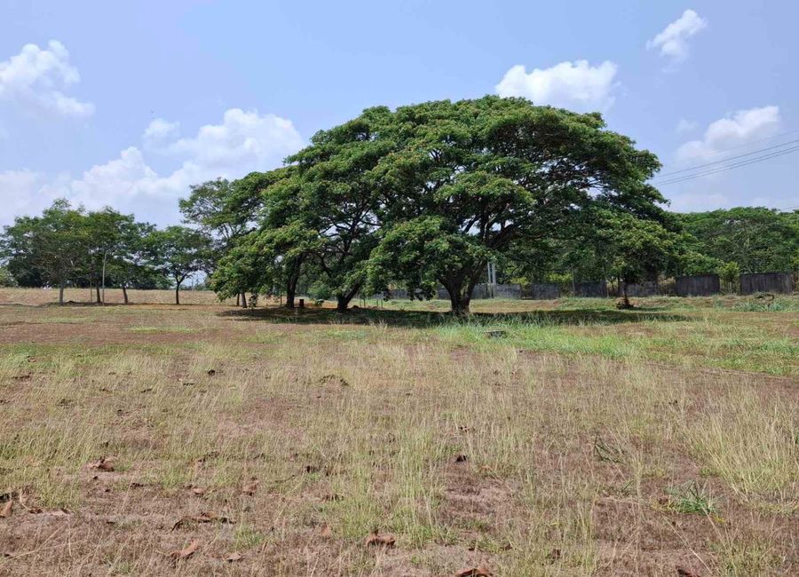 Ecology Avenue, Elaro Nuvali, Canlubang, Calamba, Laguna