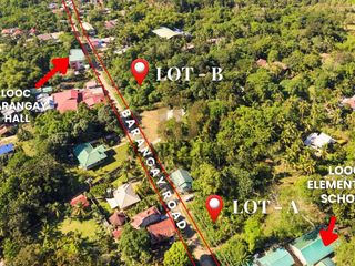 Lot for Sale - 2,390 sqm Near Momo Beach - Looc, Panglao, Bohol