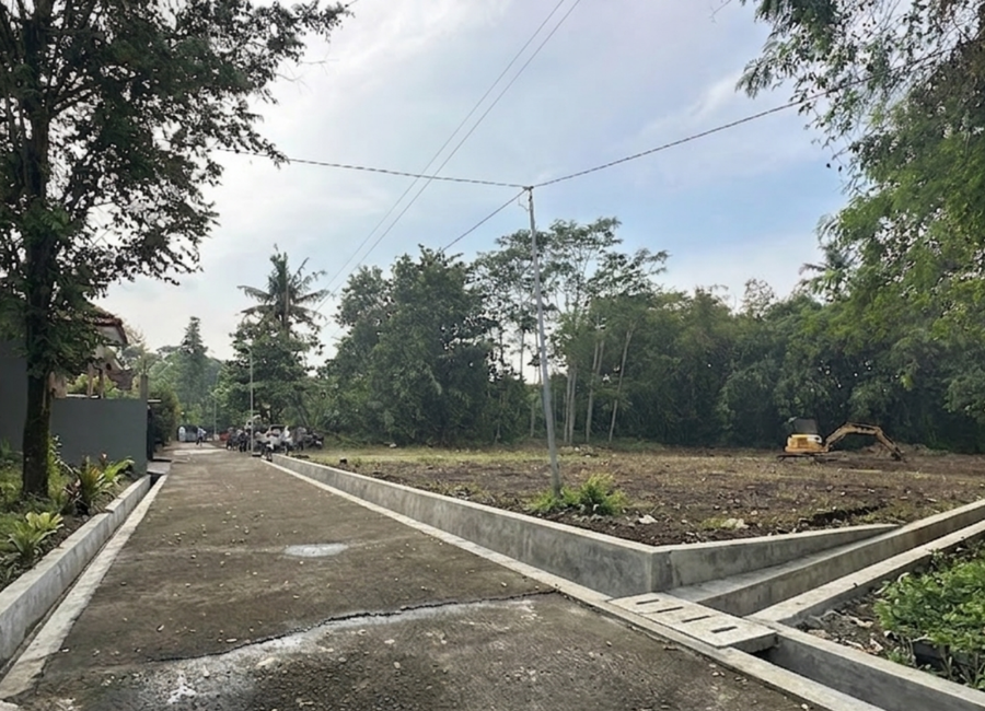 place photo 3