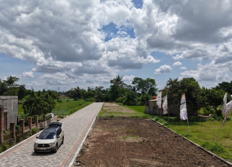 place photo 1