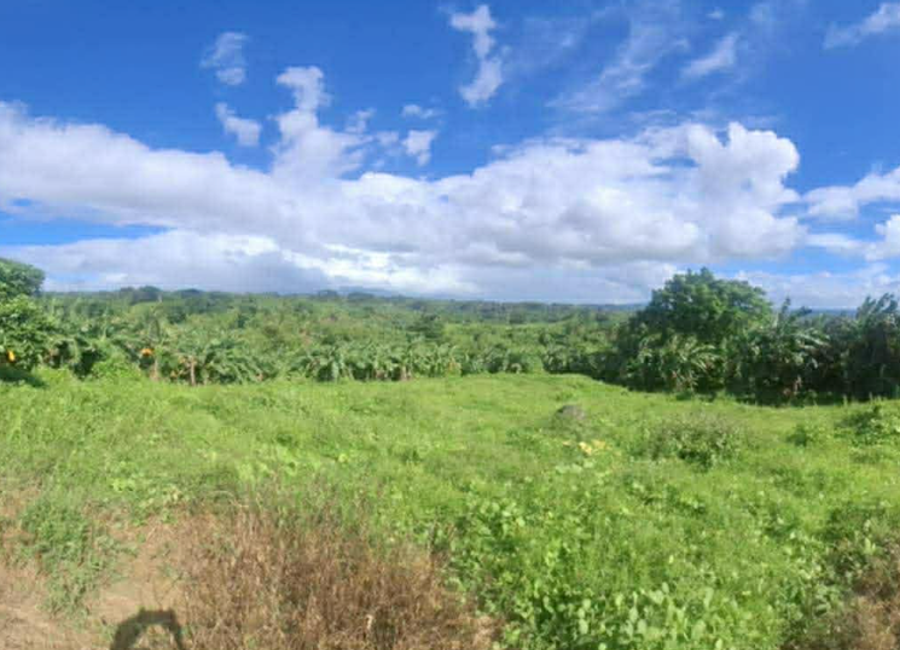 Talisay-Laurel-Agoncillo Road, Santa Maria, Talisay, Batangas image 2