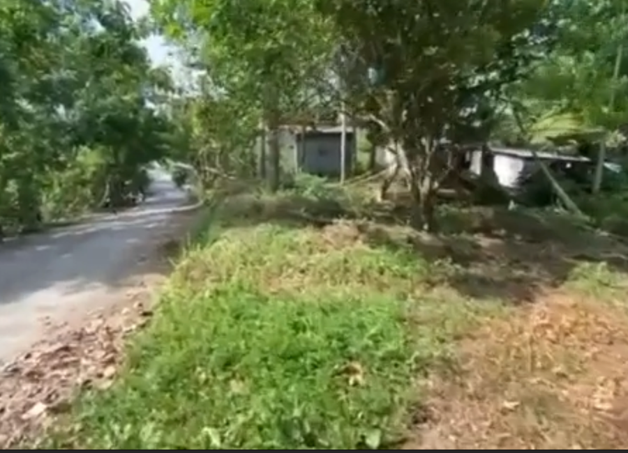Bauan-Mabini Road, Pulong Niogan, Bulacan, Mabini, Batangas