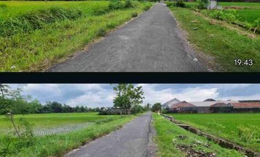 pekarangan Ambarketawang gamping