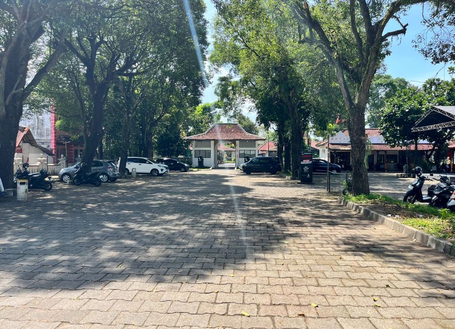 place photo 17