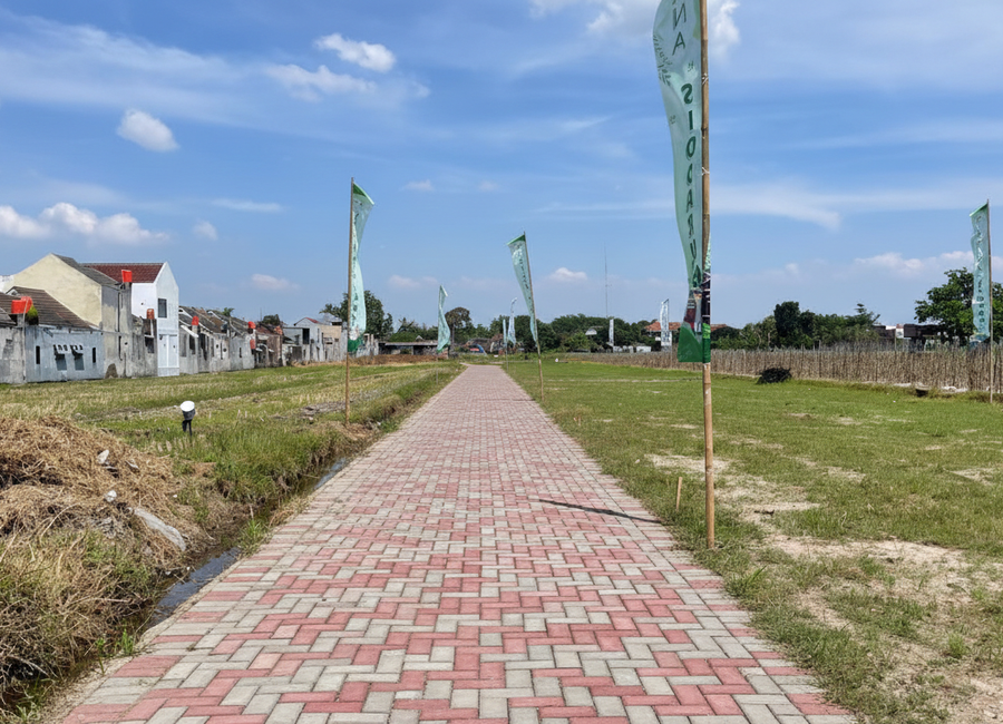 place photo 5