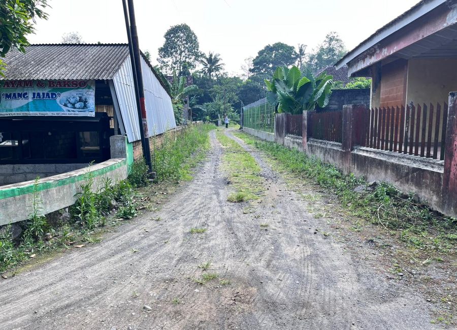 place photo 5