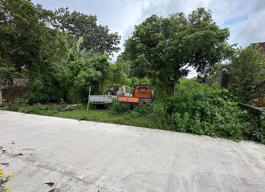 place photo 5