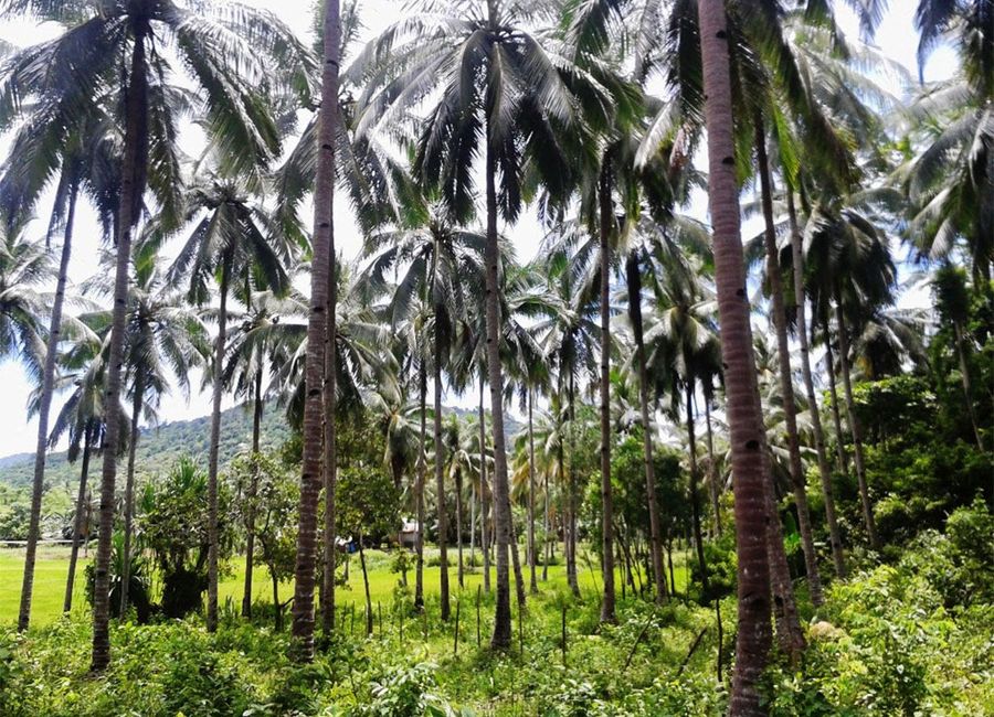 place photo 9