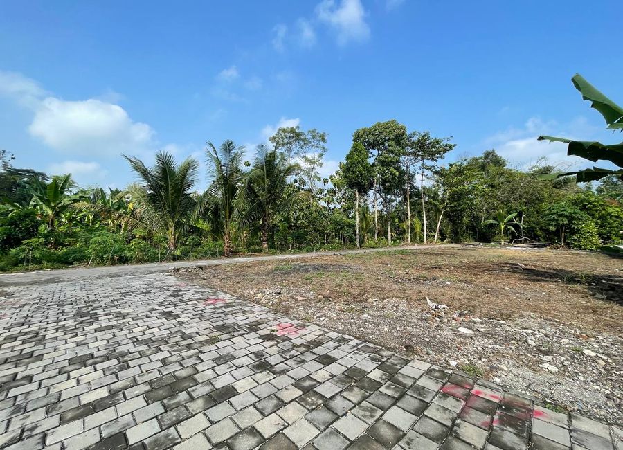 place photo 6