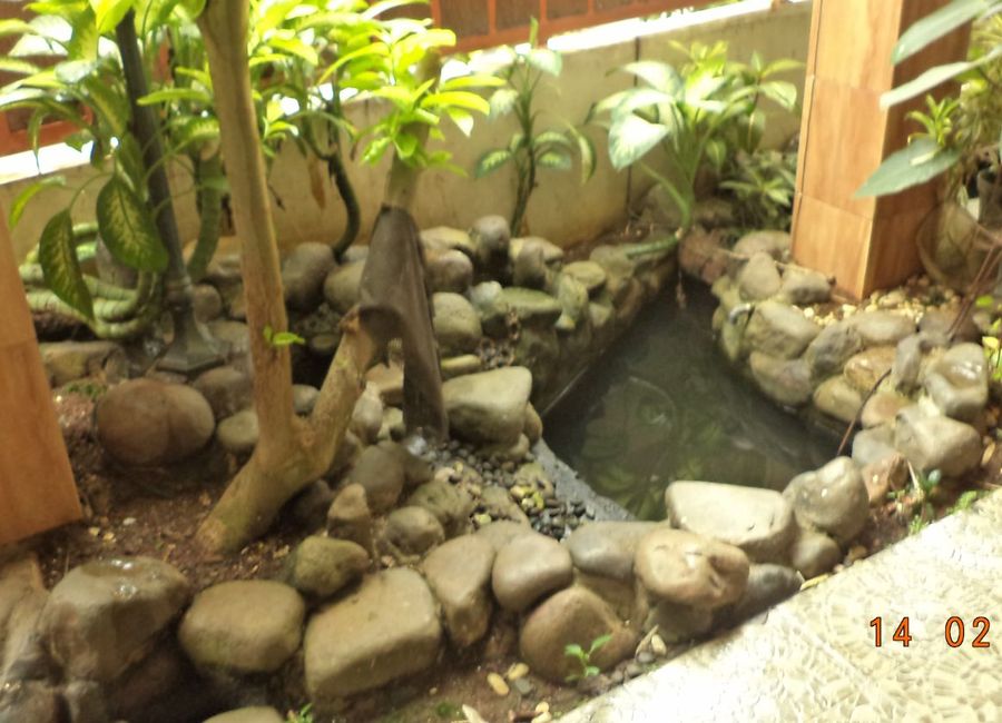 place photo 18