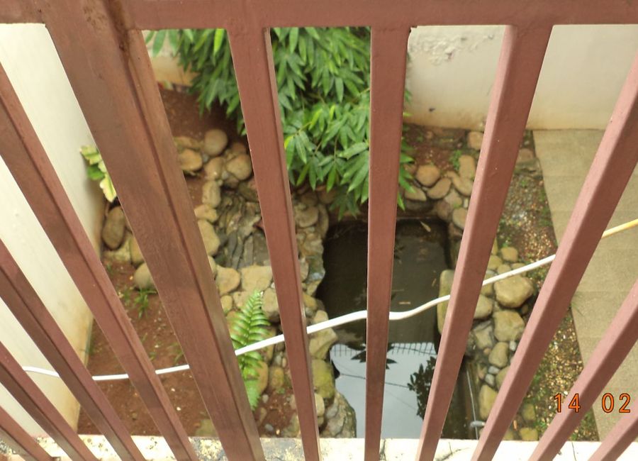 place photo 27