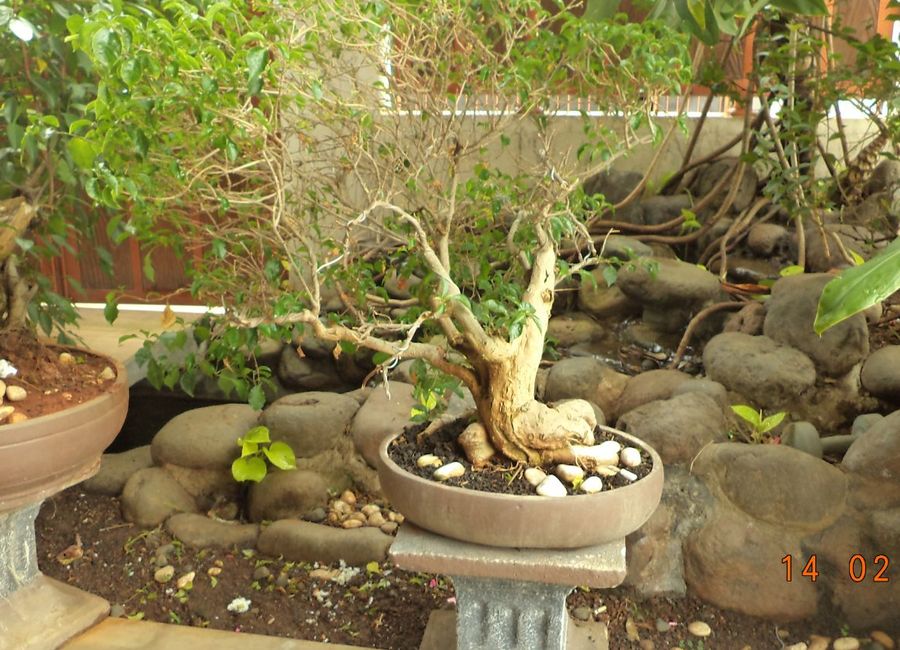 place photo 41