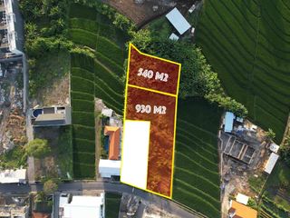 TANAH DI JALAN UTAMA PINK ZONE LOKASI PRIME DAN STRATEGIS HANYA BERJARAK 400 M ETERS MENUJU PANTAI PERERENAN CANGGU