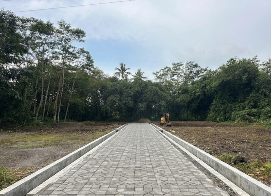 place photo 3