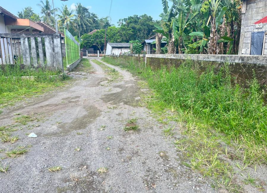 place photo 3