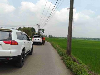BUTUH CEPAT, Tanah Sawah Pinggir Jalan – Dekat Kantor Desa, Murah Nego
