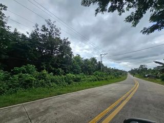 24,000 SQM Titled Highway Property for Sale – San Miguel, Northern Bohol