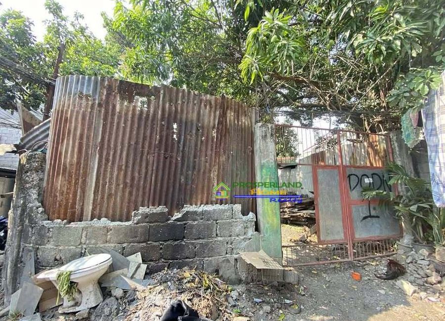 M. L. Quezon Avenue, Edenville, San Isidro, Angono, Rizal